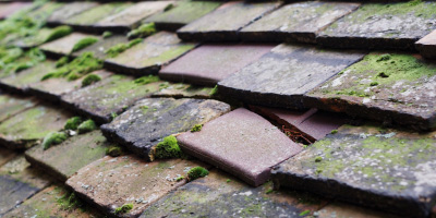 Llanwenarth roof repair costs